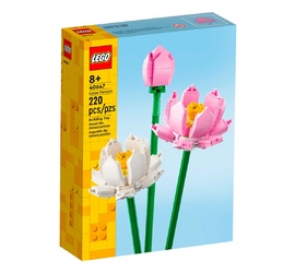 Конструктор LEGO Icons 40647 