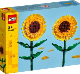 Конструктор LEGO Icons 40524 