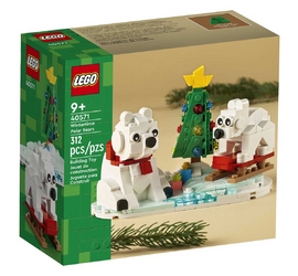 Конструктор LEGO Icons 40571 
