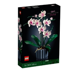 Конструктор LEGO Icons 10311 